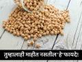 हाडं होतील मजबूत, वजन होईल कमी; काबुली चणे खाण्याचे फायदे वाचून व्हाल अवाक्... - Marathi News | Amazing health benefits of eating kabuli chane | Latest health Photos at Lokmat.com