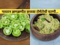 अस्सल गावरान पद्धतीची हिरव्या टोमॅटोची चटणी, भाजीची गरज नाही - पोळीभाकरीसोबत पोटभर जेवण... - Marathi News | raw green tomato chutney recipe green tomato chutney recipe raw tomato chutney Indian style | Latest sakhi News at Lokmat.com