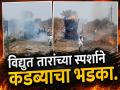विद्युत तारांचा स्पर्श अन् कडब्याचा भडका; क्षणात ७०० पेंड्यांसह ट्रॅक्टर भस्मसात, चालक बचावला - Marathi News | Dramatic Escape in Bidar! Tractor Catches Fire Due to Low-Hanging Power Lines; Farmer Suffers Heavy Loss | Latest latur News at Lokmat.com