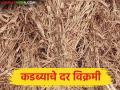 Kadba Price : चाऱ्याच्या पेंढीला एवढा भाव का? जाणून घ्या सविस्तर - Marathi News | latest news Kadba Price Today: Why is the price of a bundle of fodder so high? Find out in detail | Latest agriculture News at Lokmat.com