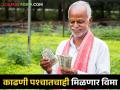 Agriculture Scheme : शेतकऱ्यांनो बँक खात्यात आलाय पीक विमा   - Marathi News | farmers get crop insurance in bank account   | Latest agriculture News at Lokmat.com