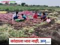 Kanda Kadhani : कांद्याला कवडीमोल भाव अन् कांदा काढणीची मजुरी दराच्या पुढे गेली, शेतकरी हैराण  - Marathi News | Latest News Kanda Kadhani Onion harvesting approval higher than onion price | Latest agriculture News at Lokmat.com