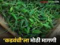 Kadvanchi Ranbhaji : पावसावर येणाऱ्या कडवंची रानभाजीला मोठी मागणी; कसे होतात आरोग्याला फायदे? - Marathi News | Kadvanchi Ranbhaji : There is a huge demand for kadvanchi vegetables during the rainy season; How are they beneficial for health? | Latest agriculture News at Lokmat.com