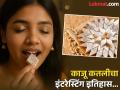 आपल्या आवडत्या काजू कतली मिठाईचा आविष्कार कसा झाला, खातात सगळेच पण माहीत नसेल कुणाला इतिहास - Marathi News | | Latest food News at Lokmat.com