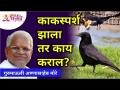 काकस्पर्श झाला तर काय कराल? What will you do if you touch a Crow? Gurumauli Annasaheb More - Marathi News | What will you do if you are touched? What will you do if you touch a Crow? Gurumauli Annasaheb More | Latest bhakti Videos at Lokmat.com
