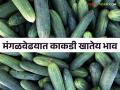 Cucumber Market : काकडीची सर्वाधिक आवक पुण्यात - Marathi News | Cucumber Market: Highest import of cucumber in Pune | Latest agriculture News at Lokmat.com