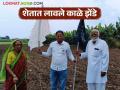 नाशिक जिल्हा बँकेच्या कर्जदार शेतकऱ्यांनी शेतात लावले काळे झेंडे, वाचा सविस्तर  - Marathi News | Latest News Ndcc bank Nashik District Bank loanee farmers put up black flags in fields, read in detail | Latest agriculture News at Lokmat.com