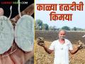 Farmer Success Story: पिवळ्या नव्हे काळ्या हळदीचा घोडेकर यांचा यशस्वी प्रयोग वाचा सविस्तर - Marathi News | Farmer Success Story: latest news Read Ghodekar's successful experiment with black turmeric, not yellow, in detail | Latest agriculture News at Lokmat.com