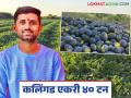 नोकरीच्या मागे न लागता केली कलिंगडाची आधुनिक पद्धतीने शेती; घेतले एकरी ४० टन उत्पादन - Marathi News | Without chasing a job watermelon was cultivated in a modern way; 40 tons of production was obtained per acre | Latest agriculture News at Lokmat.com