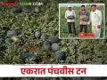 बाप लेकाची कलिंगड शेती; गाजतीय दुबईच्या मार्केट दरबारी - Marathi News | kale farmers son watermelon farming export agri produce to Dubai | Latest agriculture News at Lokmat.com