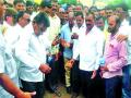 नाफेडकडून कांदा खरेदी - Marathi News | Buy onion from Nafed | Latest nashik News at Lokmat.com