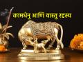 Vastu Tips: घरात कामधेनूची मूर्ती म्हणजे लक्ष्मीचा वास; तुमच्याकडे आहे का? फॉलो करा  'या' वास्तु टिप्स - Marathi News | Vastu Tips: Kamdhenu idol in the house is the fragrance of Lakshmi; Do you have it? Follow these Vastu tips | Latest bhakti News at Lokmat.com