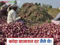 Kanda Bajar Bhav : लाल कांदा दरात घसरण तर उन्हाळ कांदा बाजारभाव जैसे थे, वाचा सविस्तर - Marathi News | Latest News Kanda bajar bhav Red onion prices fall, summer onion market prices read in detail | Latest agriculture News at Lokmat.com
