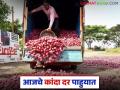 Kanda Market : लासलगाव, पिंपळगाव कांदा मार्केटमध्ये किती आवक, काय दर मिळाले?  - Marathi News | Latest News kanda market How many arrivals and what prices were received in Lasalgaon and Pimpalgaon onion markets | Latest agriculture News at Lokmat.com