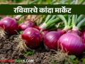 Kanda Market : 'या' जिल्ह्यात कांदा दरात अजूनही सुधारणा नाही, वाचा आजचे बाजारभाव - Marathi News | latest news Kanda bajar Bhav Onion market prices in maharashtra kanda market on Sunday, June 15, read in detail | Latest agriculture News at Lokmat.com