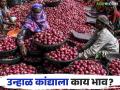 Kanda Bajarbhav : सोलापूर आणि लासलगाव बाजारात लाल कांद्याला काय भाव मिळाला, वाचा आजचे बाजारभाव - Marathi News | Latest News Kanda Bajarbhav red onion market price in Solapur and Lasalgaon kanda market, see details | Latest agriculture News at Lokmat.com