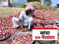 शेतकऱ्याच्या कांदा ५० पैशांवर; भविष्यात दर सुधारतील का? काय म्हणता आहेत निर्यातदार - Marathi News | Farmers' onions at 50 paise; Will prices improve in future? What do exporters say? | Latest agriculture News at Lokmat.com