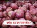 Lal Kanda Market : 14 फेब्रुवारी रोजी लाल कांद्याची आवक किती झाली, सरासरी काय भाव मिळाला? - Marathi News | latest news How much red onion was imported on February 14th, and what was the average price | Latest agriculture News at Lokmat.com