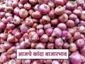 Kanda Bajar Bhav : राज्यात कांद्याची 02 लाख 30 हजार क्विंटलची आवक, काय मिळतोय दर? - Marathi News | latest News Kanda Bajar Bhav Onion arrival in maharashtra is 02 lakh 30 thousand quintals, see market prices | Latest agriculture News at Lokmat.com