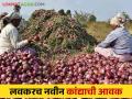 सोलापूर जिल्ह्यात येत्या १५ दिवसात कांदा काढणीला होणार सुरवात - Marathi News | Onion harvesting will start in next 15 days in Solapur district | Latest agriculture News at Lokmat.com