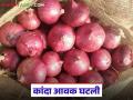 गेल्या आठवड्यात सलग तीन दिवसांच्या सुट्टीचा कांदा बाजारावर परिणाम; वाचा काय मिळाला दर? - Marathi News | Last week's three-day holiday affected the onion market; Read what was the price? | Latest agriculture News at Lokmat.com