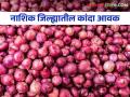 Kanda Bajarbhav : लासलगाव, पिंपळगाव बसवंत कांदा मार्केटला काय भाव? वाचा आजचे बाजारभाव - Marathi News | Latest News Kanda Bajarbhav onion Market price in Lasalgaon, Pimpalgaon Baswant onion market see details | Latest agriculture News at Lokmat.com