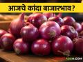 Kanda Bajarbhav : लासलगाव बाजार समितीमध्ये कांदा कितीने कोसळला? वाचा सविस्तर  - Marathi News | Latest todays Onion Market price in lasalgaon market yard check kanda bajarbhav | Latest agriculture News at Lokmat.com