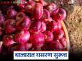 कांदा दर अपेक्षांचा उंबरठा ओलांडेल का? चाळीतील कांदा सडतोय तर बाजारात घसरण सुरूच - Marathi News | Will onion prices exceed expectations? Onions in the storage chal are rotting, while the market continues to fall | Latest agriculture News at Lokmat.com