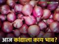 Onion Bajarbhav : नागपुरात पांढऱ्या कांद्याला काय भाव मिळाला? वाचा आजचे बाजारभाव  - Marathi News | latest News Todays Onion Bajarbhav in nagpur and nashik market yard check here | Latest agriculture News at Lokmat.com