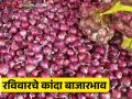 Kanda Market : पुणे बाजारात लोकल, तर सोलापूर बाजारात लाल कांदा आघाडीवर, वाचा आजचे बाजारभाव - Marathi News | Latest News Kanda Market red onion is price increased in Solapur market, todays Kanda Bajarbhav | Latest agriculture News at Lokmat.com