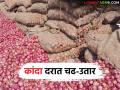 सोलापूरमध्ये ३७५ ट्रक तर नेप्ती बाजारात ५८७ ट्रक कांद्याची आवक; कोणत्या बाजारात मिळतोय चांगला दर? - Marathi News | 375 trucks of onions arrived in Solapur and 587 trucks in Nepti market; Which market is getting a better price? | Latest agriculture News at Lokmat.com