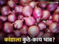 Onion Bajarbhav : आज उन्हाळ कांद्याला कुठे-काय भाव मिळाला? जाणून घ्या सविस्तर बाजारभाव - Marathi News | Latest News Todays Summer Onion Bajarbhav In kanda market yard check here | Latest agriculture News at Lokmat.com