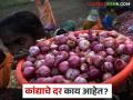 Kanda Market : उन्हाळसह लाल, गोल्टी, पांढऱ्या कांद्याला काय दर मिळतोय, वाचा सविस्तर  - Marathi News | latest News Kanda Market see unhal, golti, lal and white onion market prices in maharashtra | Latest agriculture News at Lokmat.com