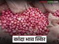 अवकाळीमुळे कांदा आवक मंदावली; वाचा सोलापूर बाजारात सर्वसाधारण कांद्याला काय दर? - Marathi News | Onion arrivals slowed down due to bad weather; Read: What is the price of common onions in Solapur market? | Latest agriculture News at Lokmat.com