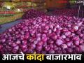 Kanda BajarBhav : कांद्याच्या 'या' बाजारात भाव कोसळले; तर इथे मिळाला 'इतक्या' रुपयांचा दर वाचा सविस्तर - Marathi News | latest news Kanda BajarBhav: If the price of onion falls in 'this' market, then here you can get the price of 'so many' rupees. Read in detail | Latest agriculture News at Lokmat.com