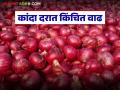 Kanda Bajar Bhav: चाकण मार्केटमध्ये गेल्या आठवड्याच्या तुलनेत कांदा दरात झाली वाढ; वाचा कसा मिळतोय दर? - Marathi News | Onion prices have increased in Chakan market compared to last week; Read how the price is being obtained? | Latest agriculture News at Lokmat.com