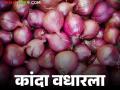 Kanda Bajar Bhav : चाकण बाजार समितीत कांद्याच्या दरात वाढ; कसा मिळतोय दर? - Marathi News | Kanda Bajar Bhav : Onion price increase in Chakan Market Committee; How is the price being obtained? | Latest agriculture News at Lokmat.com