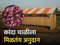 Onion Storage; कांदा चाळीत साठवायचाय मग घ्या ह्या योजनेचा लाभ - Marathi News | Onion Chaal Funding Scheme under National Horticulture Mission | Latest agriculture News at Lokmat.com