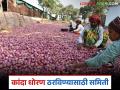आता कांदा धोरण ठरविण्यासाठी शासनाची समिती, समितीचे सदस्य कोण-कोण?  - Marathi News | Latest news kanda Issue government committee to decide onion policy, see committee members | Latest agriculture News at Lokmat.com