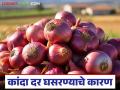 Kanda Market Update : कांद्याच्या किंमतीत घसरण सुरूच, काय आहे नेमकं कारण? वाचा सविस्तर  - Marathi News | Latest News Kanda Market Update Onion prices continue to fall Read in detail | Latest agriculture News at Lokmat.com