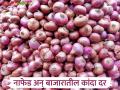 Kanda Market : नाफेडने कांद्याचा दर कमी केला, तर आज बाजारात काय दर मिळाले?  - Marathi News | Latest news NAFED reduced price of onion see todays kanda market of market yard of maharashtra | Latest agriculture News at Lokmat.com