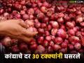 महिनाभरात कांद्याच्या भावात ३० टक्क्यांची घसरण, आज सकाळ सत्रात काय भाव मिळाला? - Marathi News | Latest NEws kanda market Onion prices drop by 30 percent in a month in nashik kanda market | Latest agriculture News at Lokmat.com