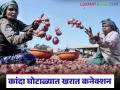 कांदा घोटाळ्यात खरात कनेक्शन, फार्मर कंपनीत सपत्नीक संचालक, 'त्या' कंपनीची SIT कडून चौकशी - Marathi News | Latest news Kharat connection in onion scam, wife director in farmer Farmer producer company | Latest agriculture News at Lokmat.com