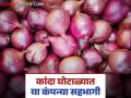 Onion Scam : कांदा घोटाळेबाज शेतकरी उत्पादक कंपन्यांवर मोठी कारवाई; वाचा सविस्तर - Marathi News | Onion Scam : Major action taken against onion scam farmer producing companies; Read in detail | Latest agriculture News at Lokmat.com