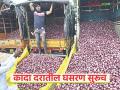 कांदा मार्केटमध्ये दरातील घसरण सुरूच, दर घसरणीला कोण कारणीभूत ठरतंय! - Marathi News | Latest News Kanda Market Prices continue to fall in onion market in maharashtra | Latest agriculture News at Lokmat.com