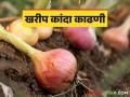 Kharif Kanda Kadhani : खरीपातील कांदा काढणीदरम्यान काय काळजी घ्यावी? जाणून घ्या सविस्तर  - Marathi News | Latest News Kharif Kanda Kadhani take care during onion harvesting in Kharif Know in detail  | Latest agriculture News at Lokmat.com