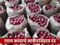 Kanda Market : पारनेर मार्केटमध्ये लाल कांद्याला सरासरी इतके रुपये दर मिळाला, वाचा सविस्तर - Marathi News | Latest News Kanda Market Red onion fetched an average price of Rs 1175 in Parner market | Latest agriculture News at Lokmat.com