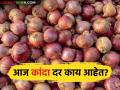 Kanda Market : राज्यात 'या' दोनच मार्केटला लाल कांद्याला समाधानकारक दर, वाचा आजचे बाजारभाव  - Marathi News | Latest news Kanda Market Satisfactory prices of red onion in only these two markets in maharashtra | Latest agriculture News at Lokmat.com