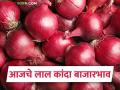 Lal Kanda Market : सोलापूर बाजारात लाल तर नागपूर बाजारात पांढऱ्या कांद्याचे बाजारभाव कसे होते? वाचा सविस्तर - Marathi News | Latest News Lal Kanda Market see todays onion market in solapur and nagpur Read in detail | Latest agriculture News at Lokmat.com