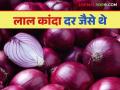 Kanda Market Update : लासलगाव बाजारात चढ-उतार, तर  सोलापूर बाजारात जैसे थे, वाचा कांदा बाजारभाव - Marathi News | Latest News kanda market update see todays kanda bajarbhav in solapur and lasalgaon market | Latest agriculture News at Lokmat.com